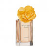 Flower Marigold