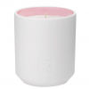 Anouche 280gr candle ТЕСТЕР (свеча)