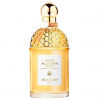 Aqua Allegoria Harvest Mandarin Basilic