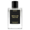 Mexican Cactus