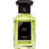 Vetiver Fauve