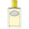 Infusion D'Ylang