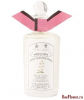 Night Scented Stock