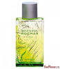 Reflets d’Eau de Rochas Homme