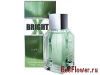 X-Bright