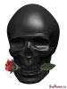 Skulls & Roses for Him