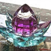 Water Flover