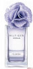 Flower Violet