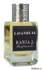 Lavande 44