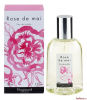 Rose de Mai