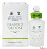 Blasted Bloom