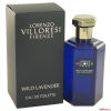 Wild Lavender