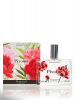 Pivoine