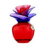Someday Limited Edition
