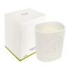 34 boulevard Saint Germain 220gr candle (свеча)