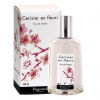 Cerisier en Fleurs