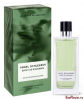 Esprit de Gingembre Homme