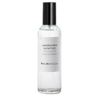 Melomirtillo 100ml (ароматический спрей для дома)