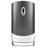 Givenchy Pour Homme Silver