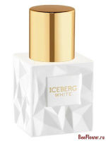 Iceberg White