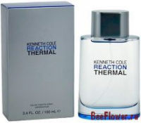 Reaction Thermal
