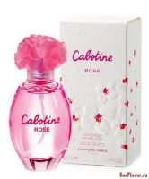Cabotine Rose