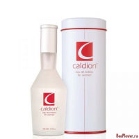 Caldion For Women
