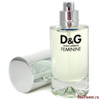 D&G Feminine