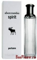 Spirit Perfume