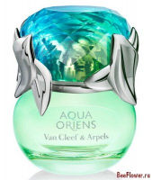 Aqua Oriens