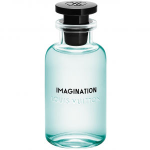 Imagination
