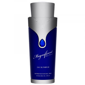 Magnificent Blu Pour Homme