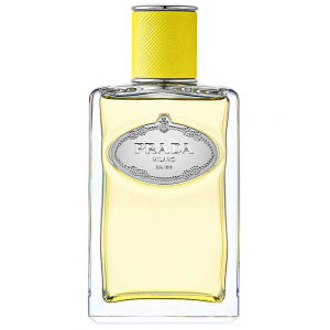 Infusion D'Ylang