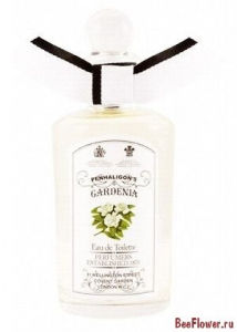 Gardenia 1,5ml edt (туалетная вода)