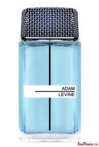 Adam Levine for Men