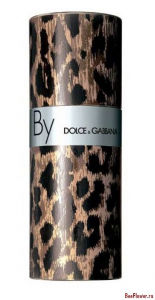 By Dolce & Gabbana