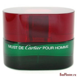 Must de Cartier Pour Homme Essence