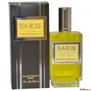 Tea Rose