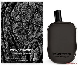 Wonderwood 9ml edp (парфюмерная вода)