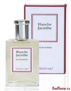 Blanche Jacinthe
