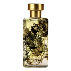 Patchouli