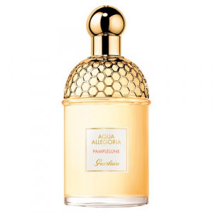 Aqua Allegoria Pamplelune