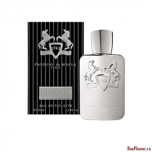 Pegasus