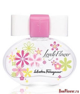 Incanto Lovely Flower