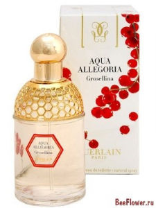 Aqua Allegoria Grosellina