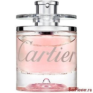 Goutte de Rose