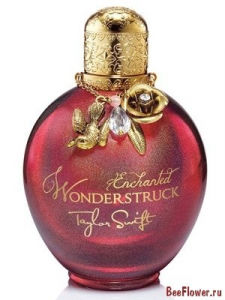 Wonderstruck Enchanted
