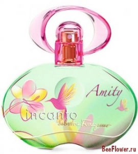 Incanto Amity