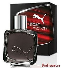 Urban Motion Man
