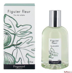 Figuier Fleur